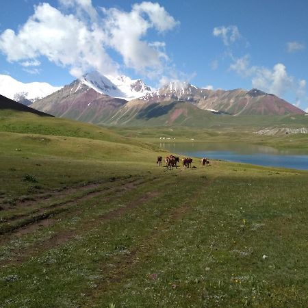 Pamir Nomad Yurt Camp Hotel Kara-Kavak Екстериор снимка