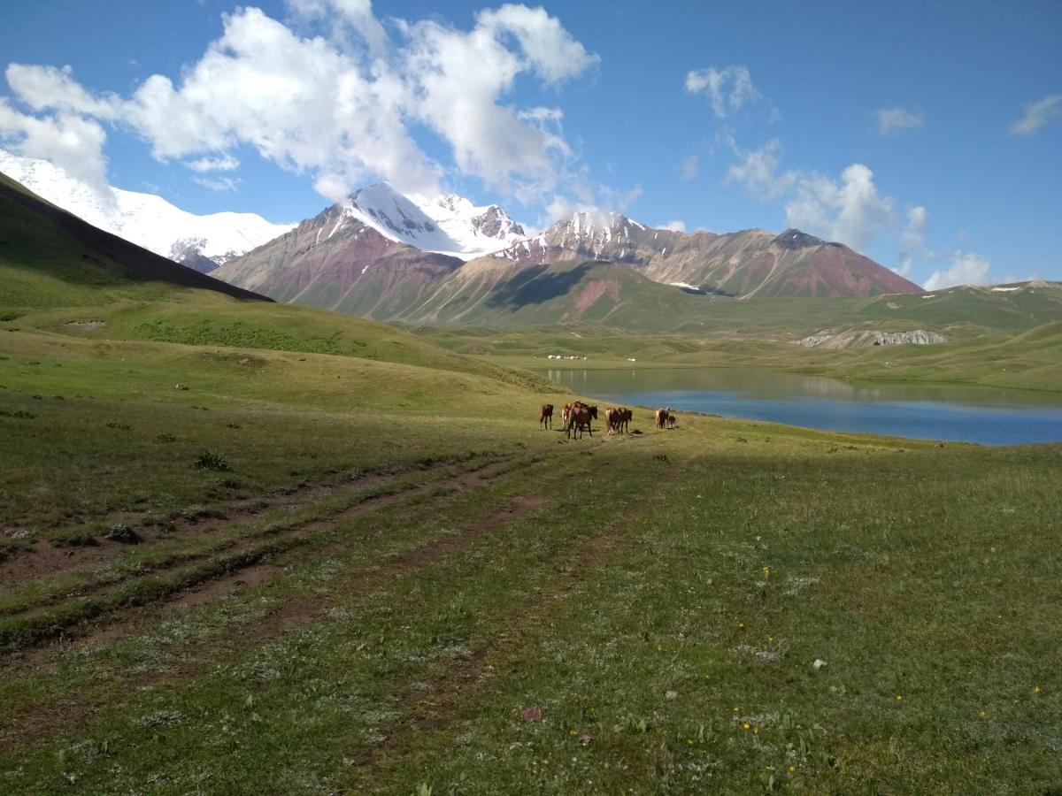 Pamir Nomad Yurt Camp Hotel Kara-Kavak Екстериор снимка