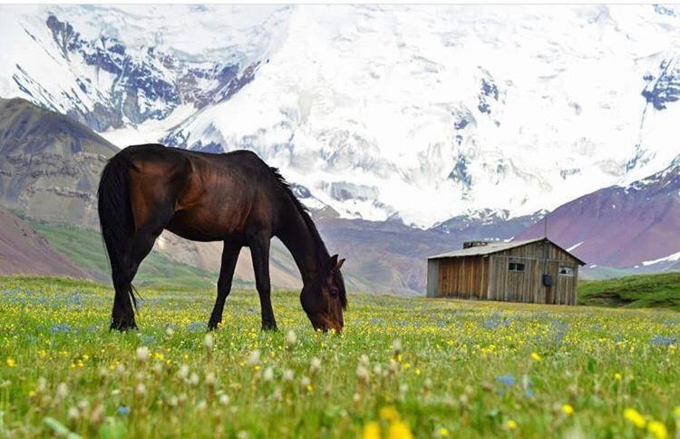 Pamir Nomad Yurt Camp Hotel Kara-Kavak Екстериор снимка